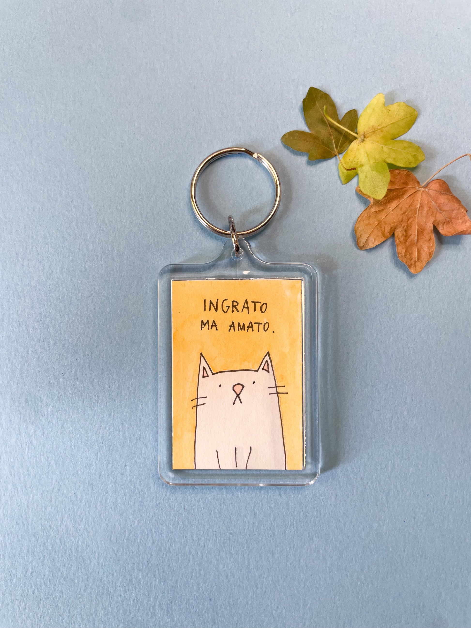 Portachiavi Illustrato - Ingrato ma amato