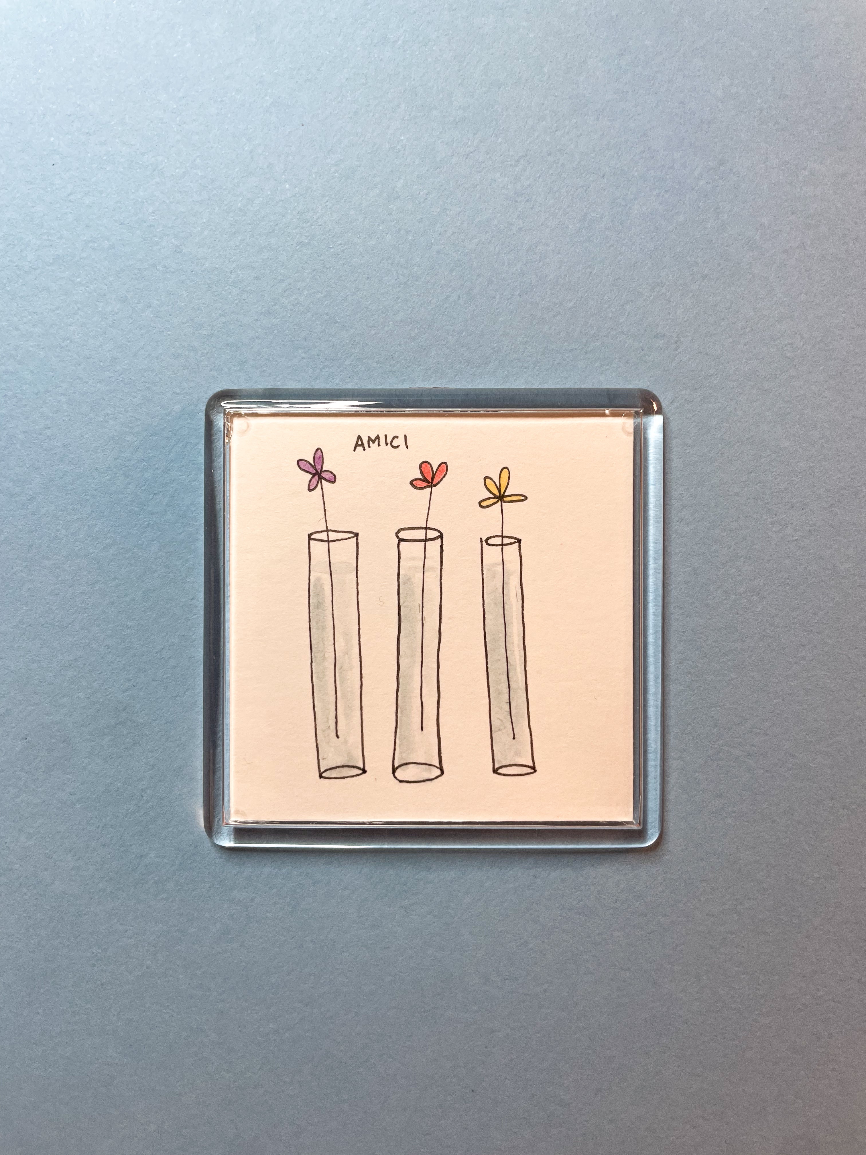 Calamita Illustrata - Amici