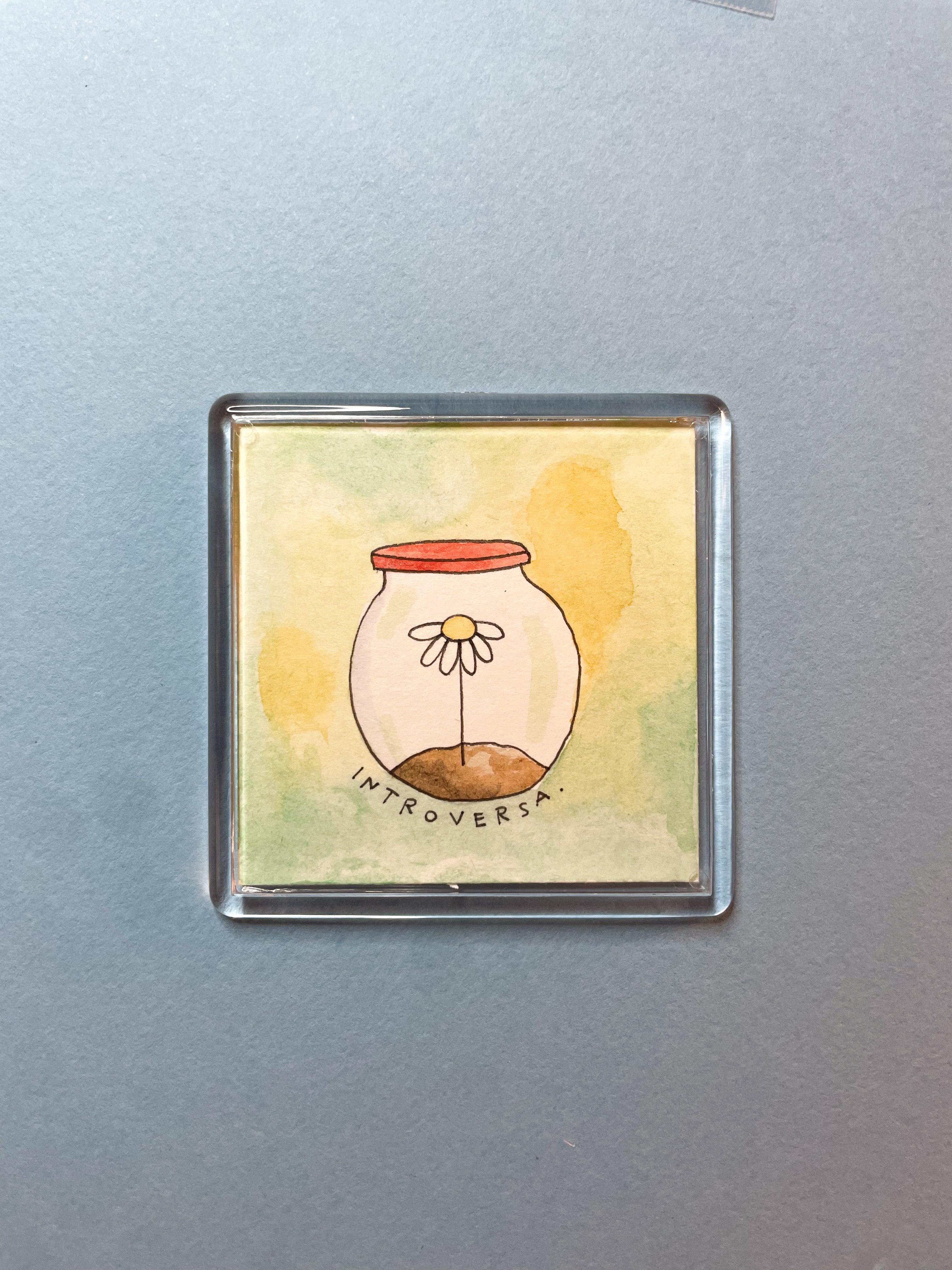 Calamita Illustrata - Introversa