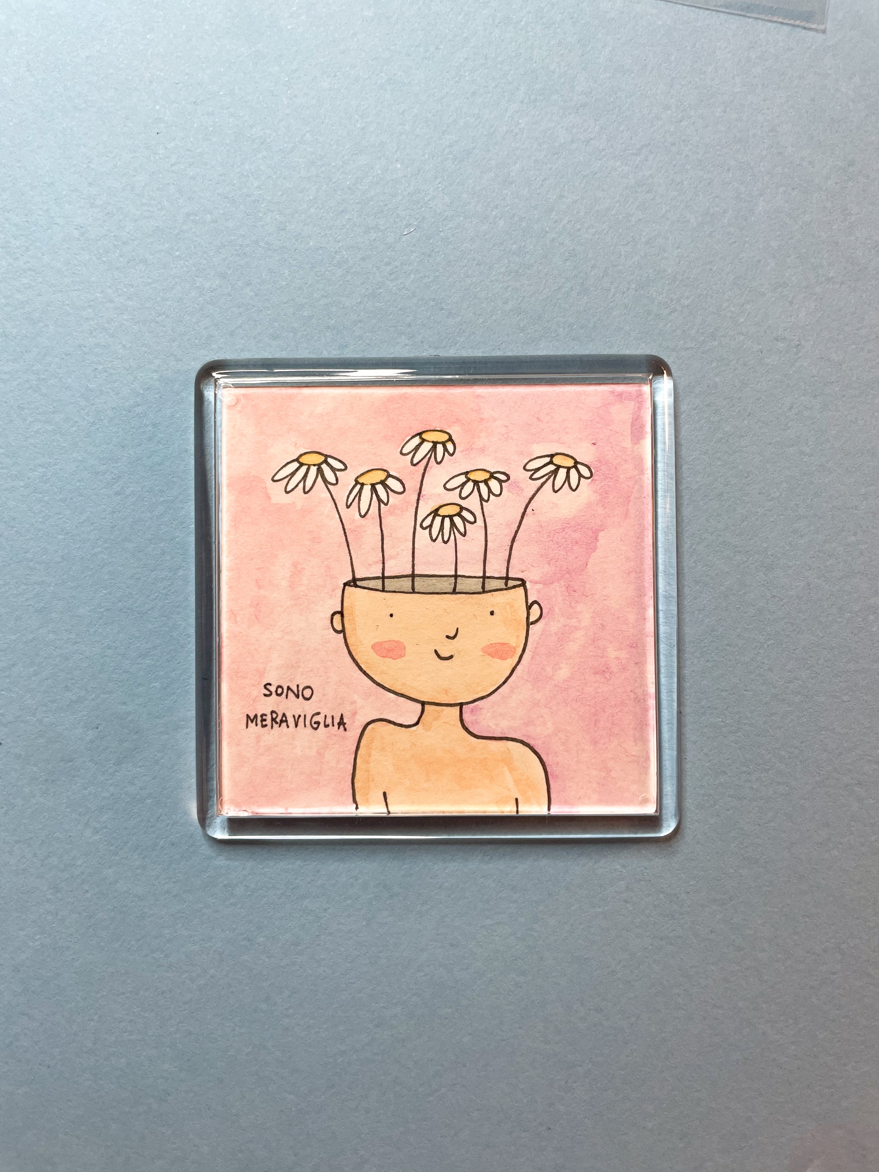 Calamita Illustrata - Sono meraviglia