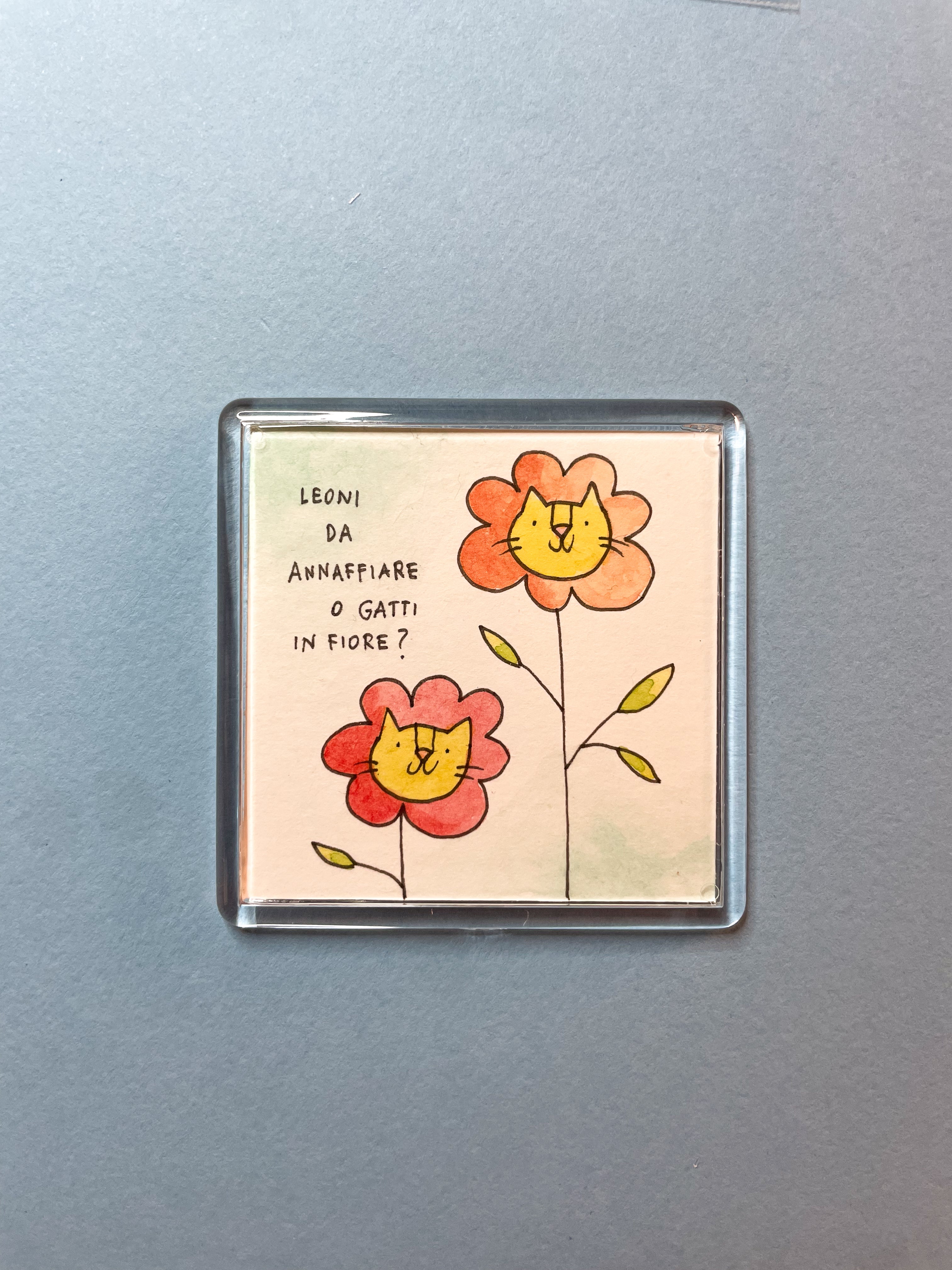 Calamita Illustrata - Leoni o gatti?