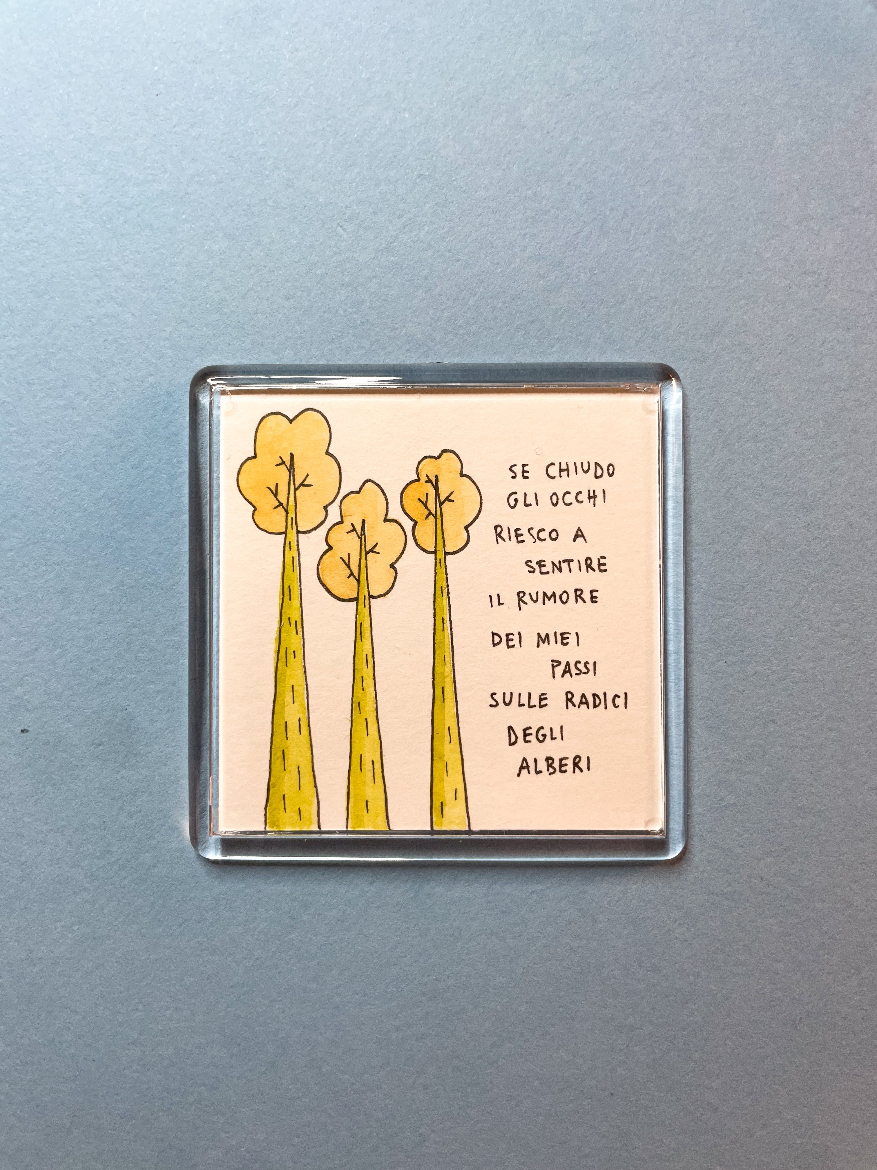 Calamita Illustrata - Radici