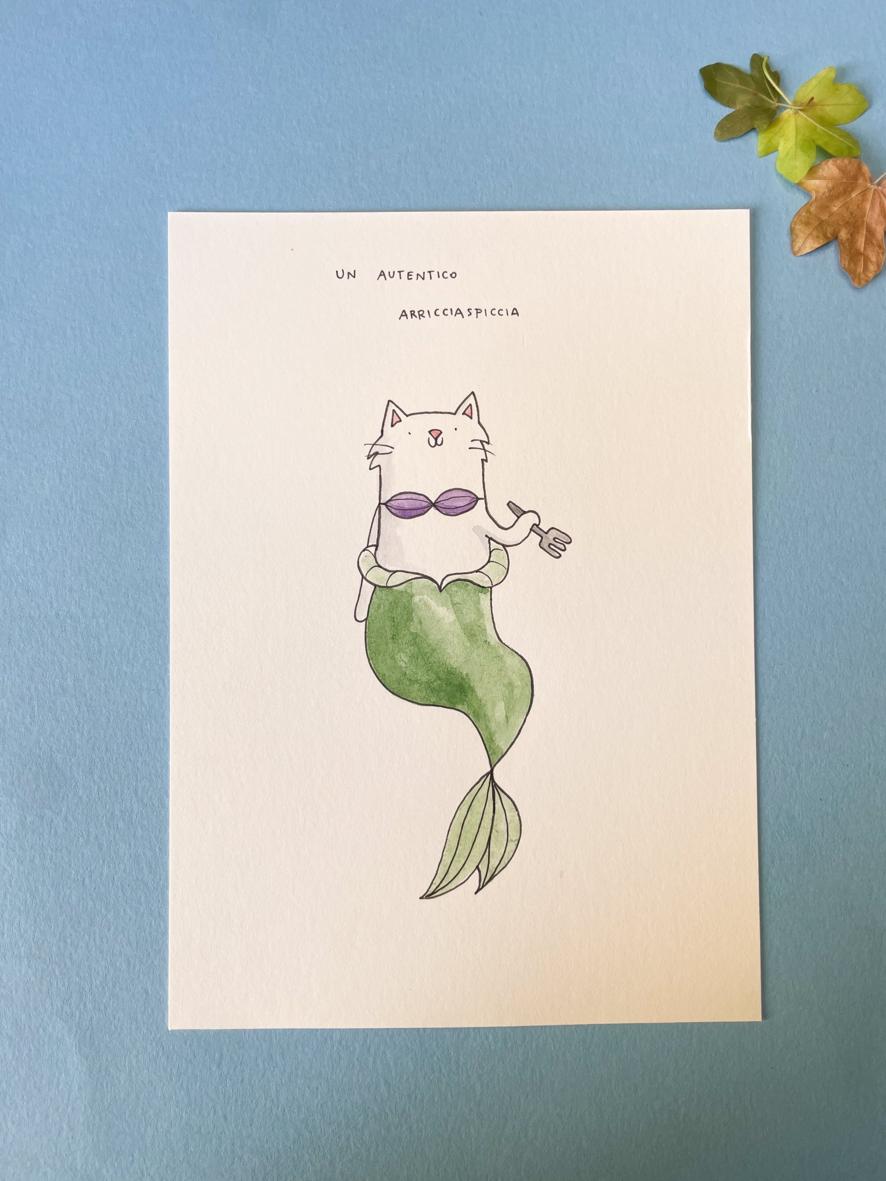 Illustrazione 13x18 cm - Un autentico arricciaspiccia