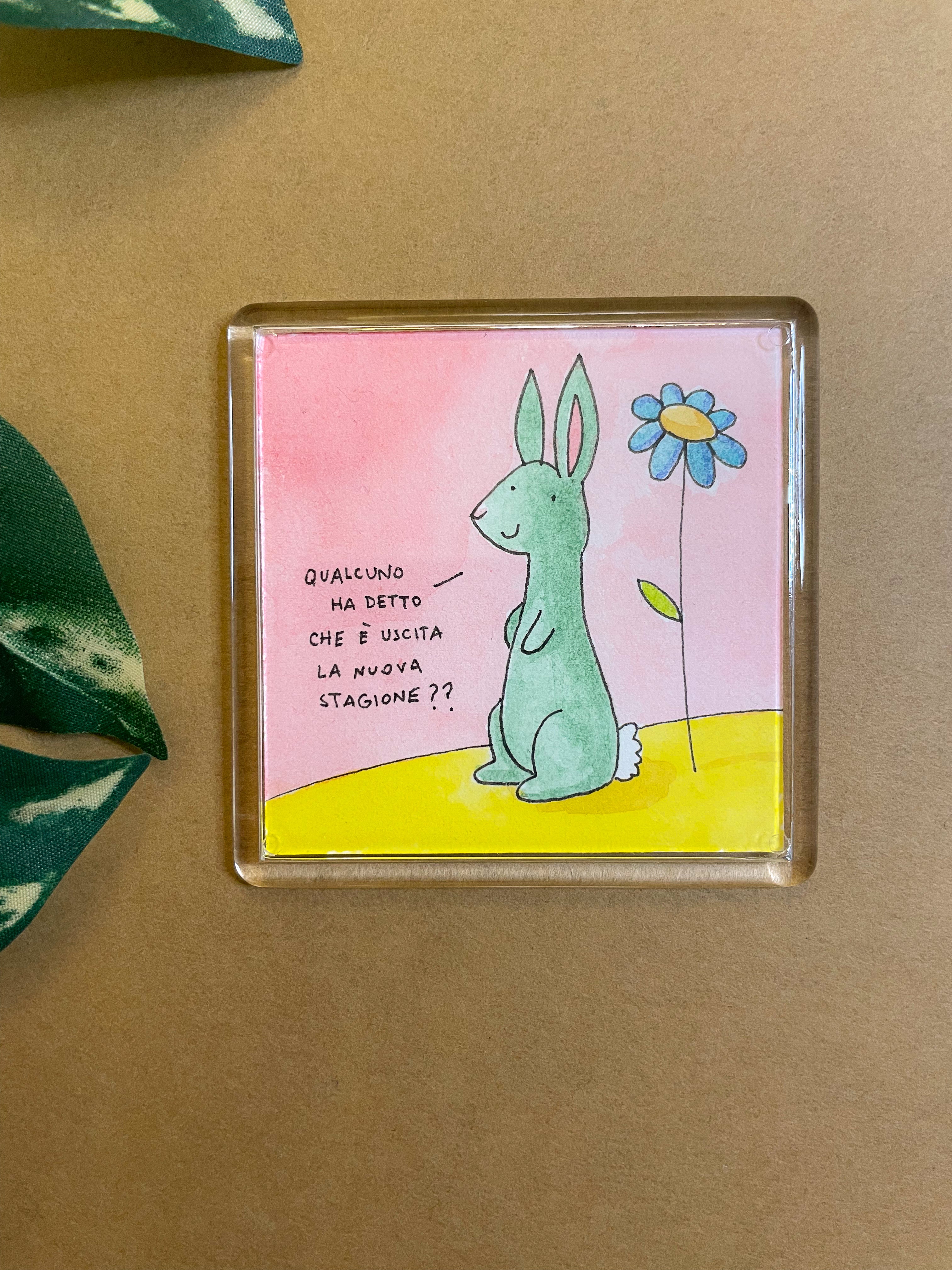 Calamita Illustrata - Nuova stagione?